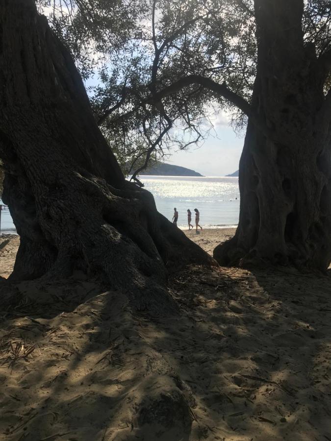 Raphael Skiathos Living-Olga Экстерьер фото